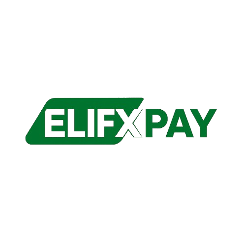 ElifxPay Logo